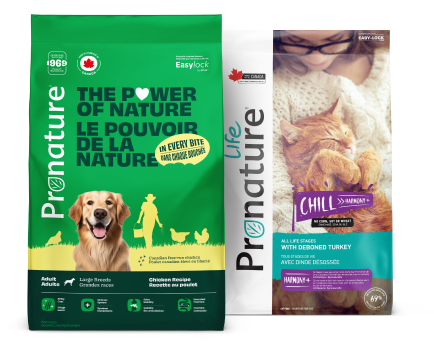 Bags of animal food